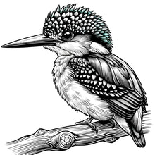 Load image into Gallery viewer, Beautiful Birds Large Print Coloring Book for Adults & Seniors