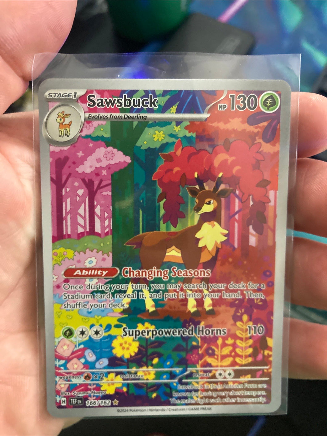 Solo card (SawasBuck)