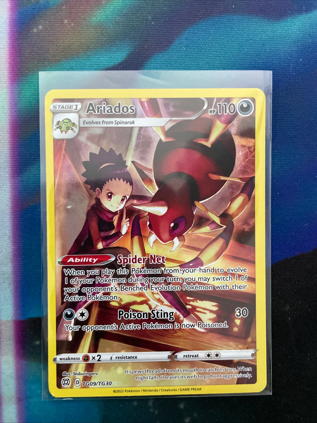 Solo card (Ariados TG)