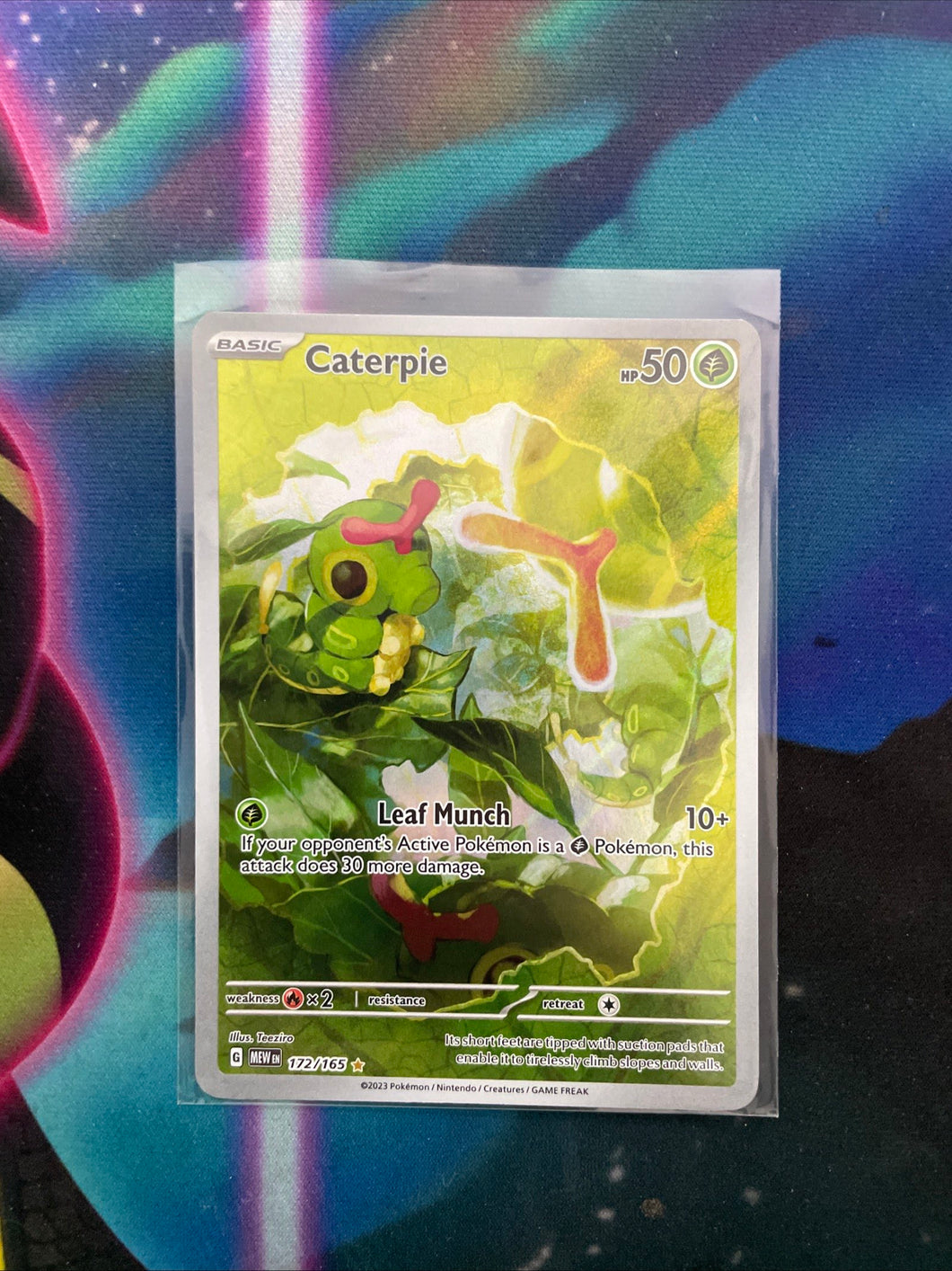 Solo card (Caterpie IR)