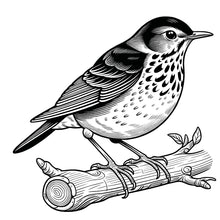 Load image into Gallery viewer, Beautiful Birds Large Print Coloring Book for Adults &amp; Seniors
